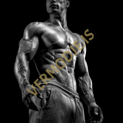 Methandienone Bulking/Power Cycle - Débutants